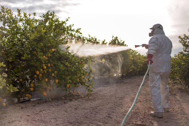 Pest Control Cost in Uhrichsville, OH