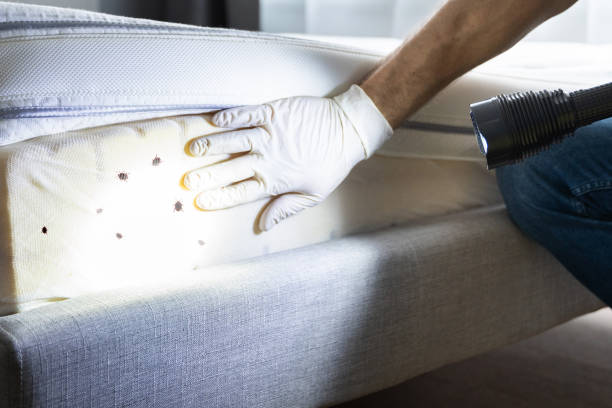 Best Cockroach Control Services  in Uhrichsville, OH